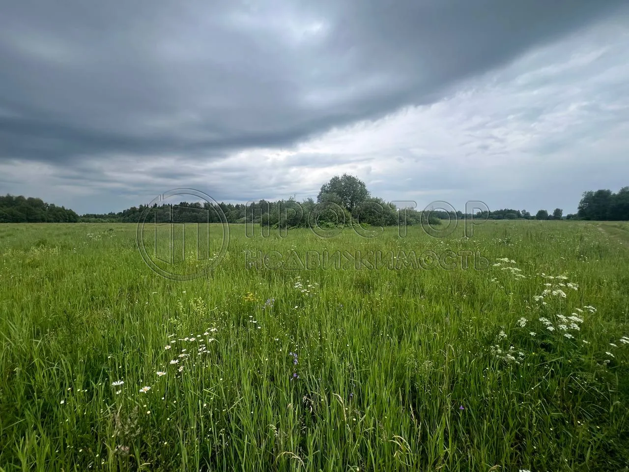 Участок, 8 сот. - фото 3