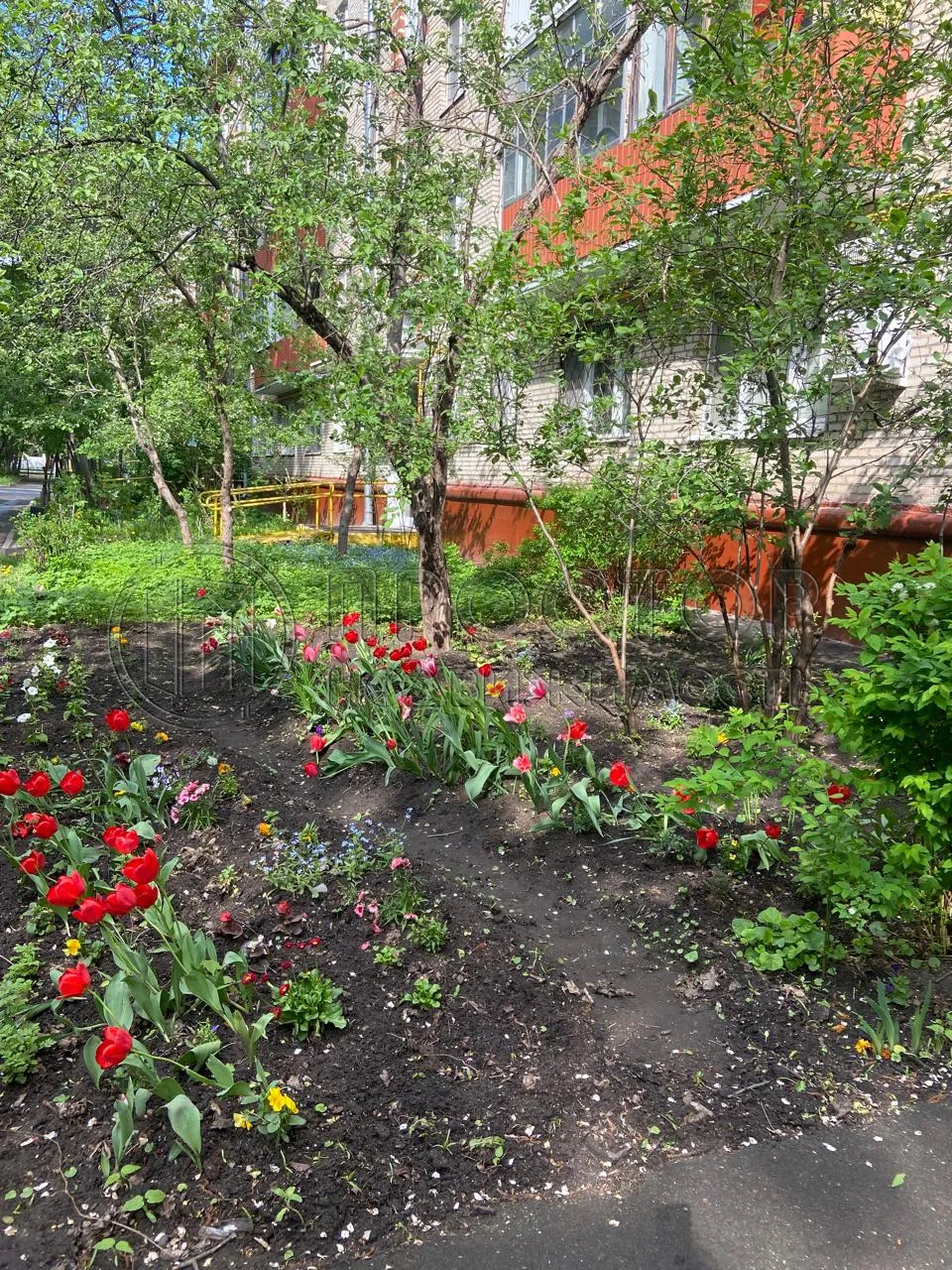 2-комнатная квартира, 43.7 м² - фото 16