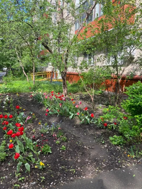2-комнатная квартира, 43.7 м² - фото 16