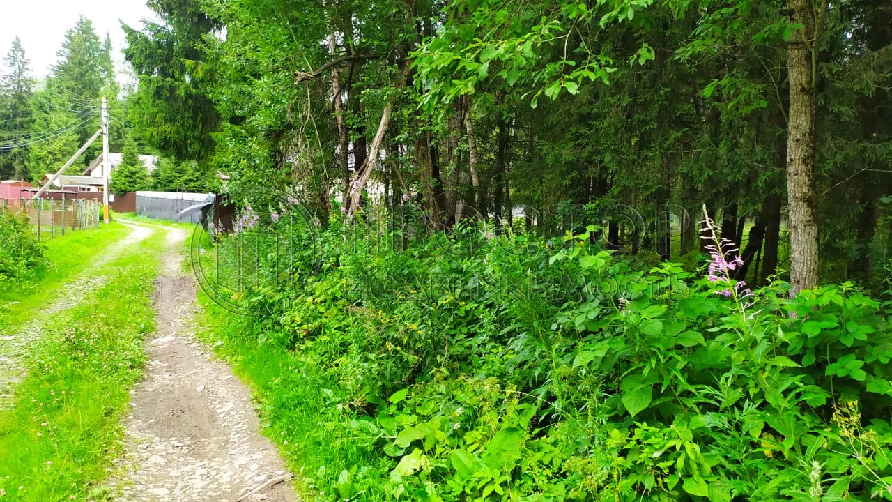 Участок, 10 сот. - фото 2