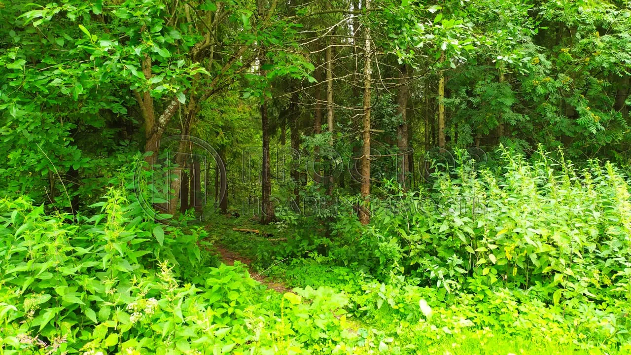 Участок, 10 сот. - фото 4