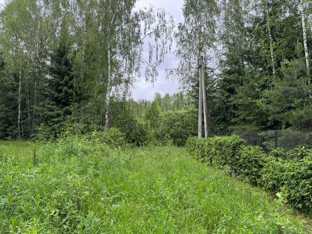 Коммерческая недвижимость (земельный участок),  м² - фото 9