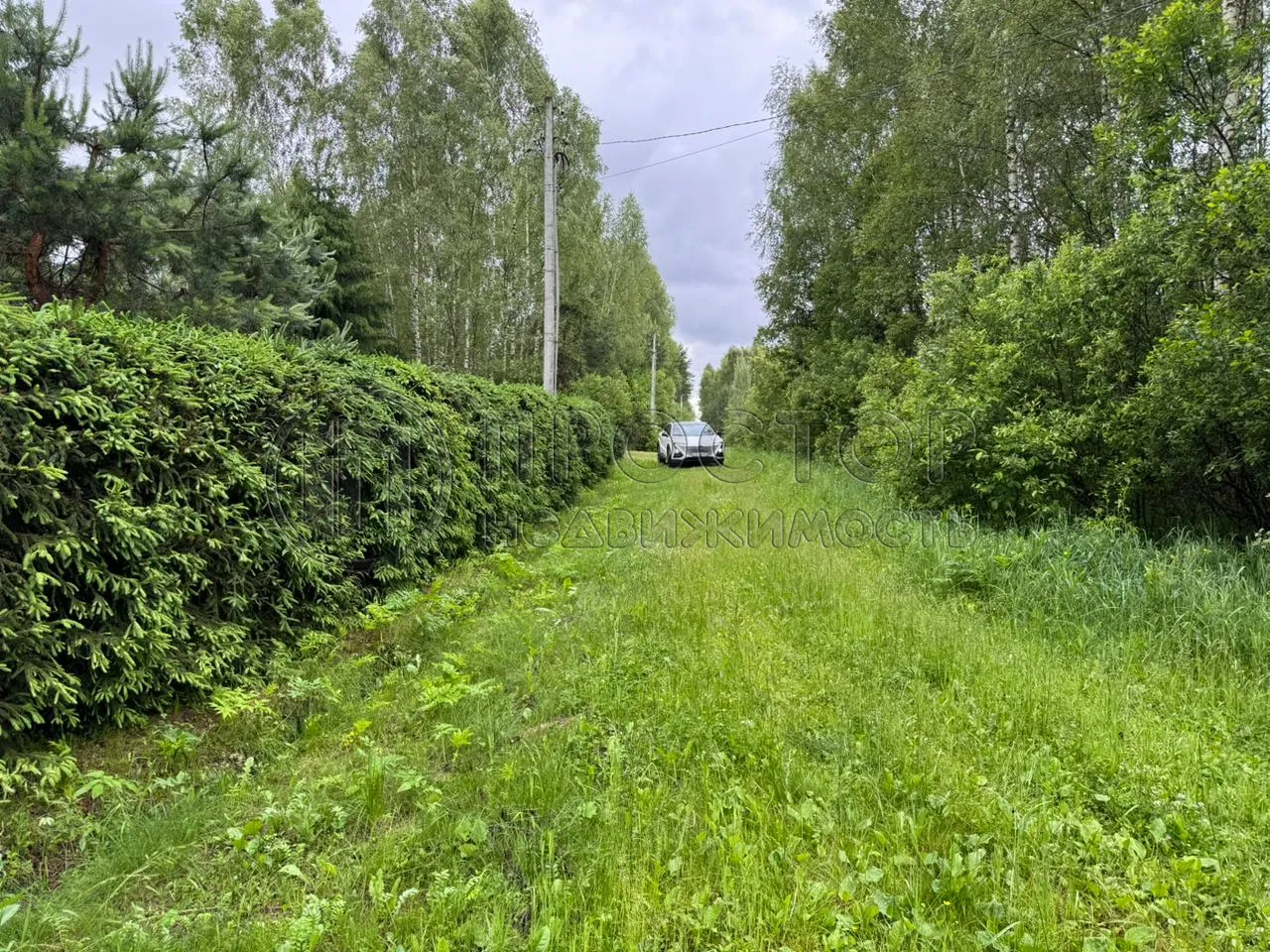 Коммерческая недвижимость (земельный участок),  м² - фото 10