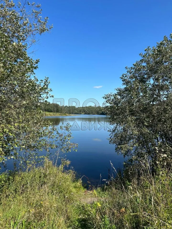 Коммерческая недвижимость (земельный участок),  м² - фото 3