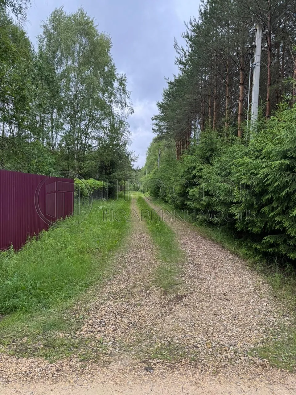 Коммерческая недвижимость (земельный участок),  м² - фото 4