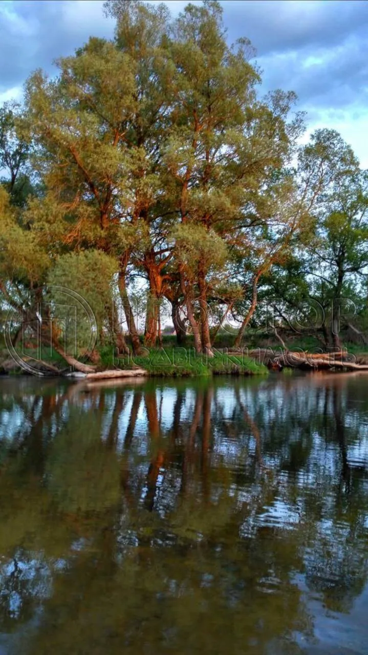 Коммерческая недвижимость (земельный участок),  м² - фото 6