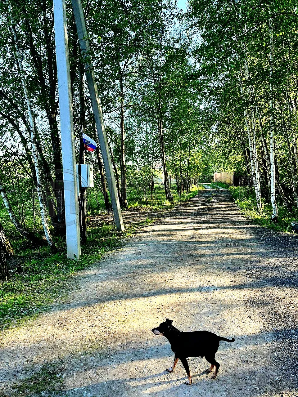 Дом, 123.3 м² - фото 9