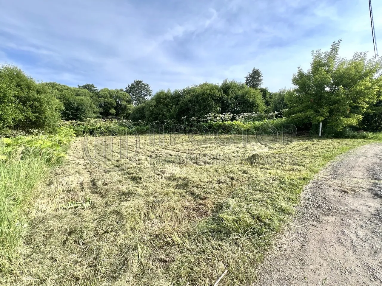 Участок, 6 сот. - фото 5