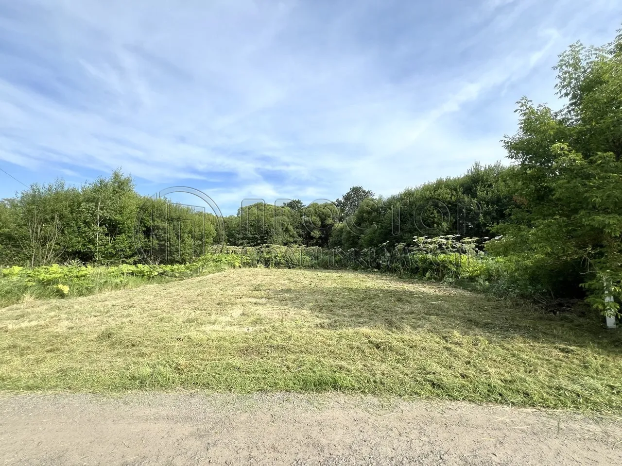 Участок, 6 сот. - фото 8