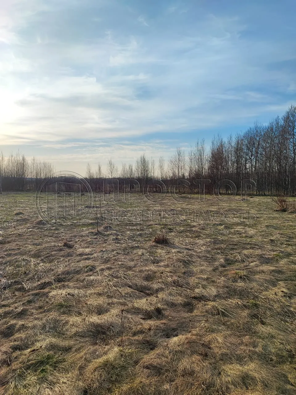 Участок, 21.14 сот. - фото 4