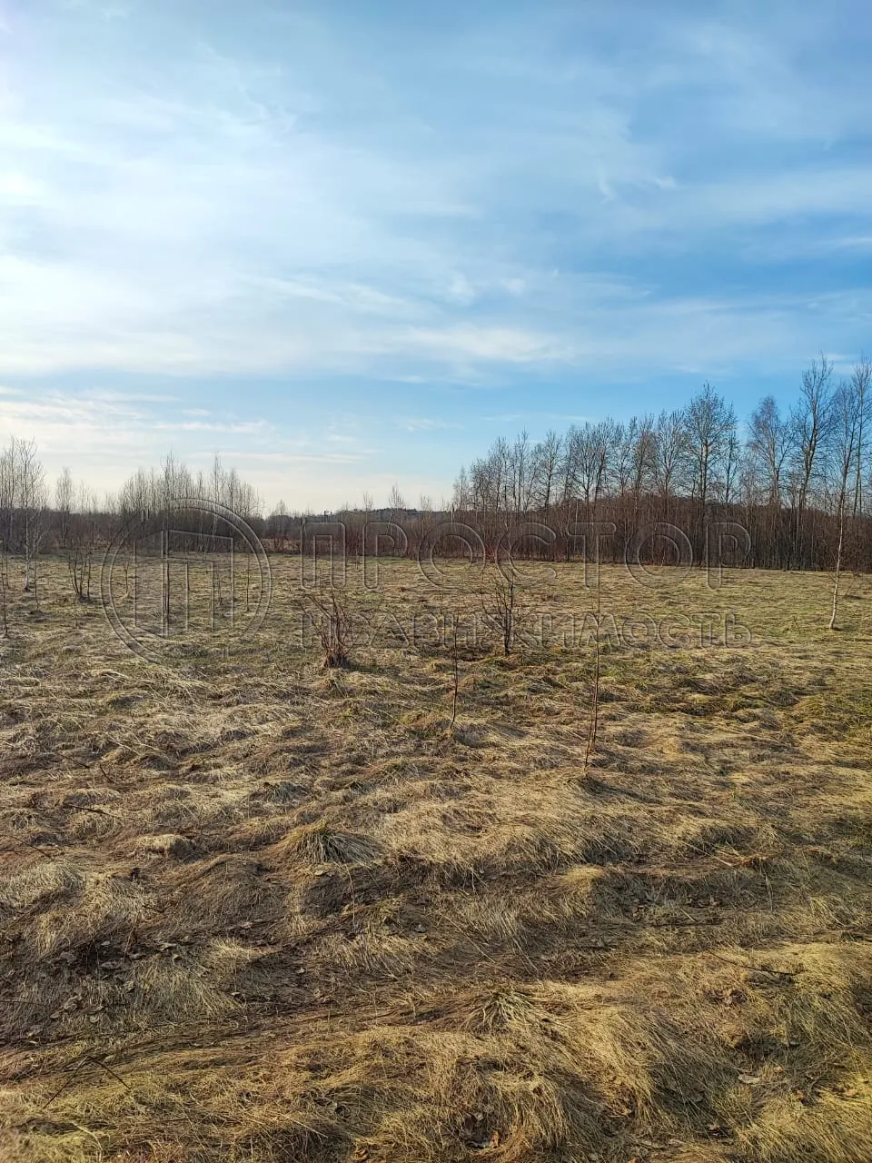 Участок, 21.14 сот. - фото 6