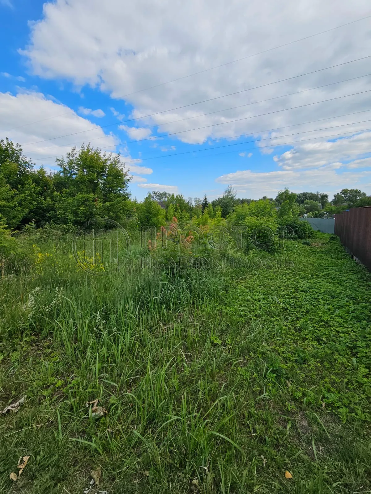 Участок, 11.67 сот. - фото 8