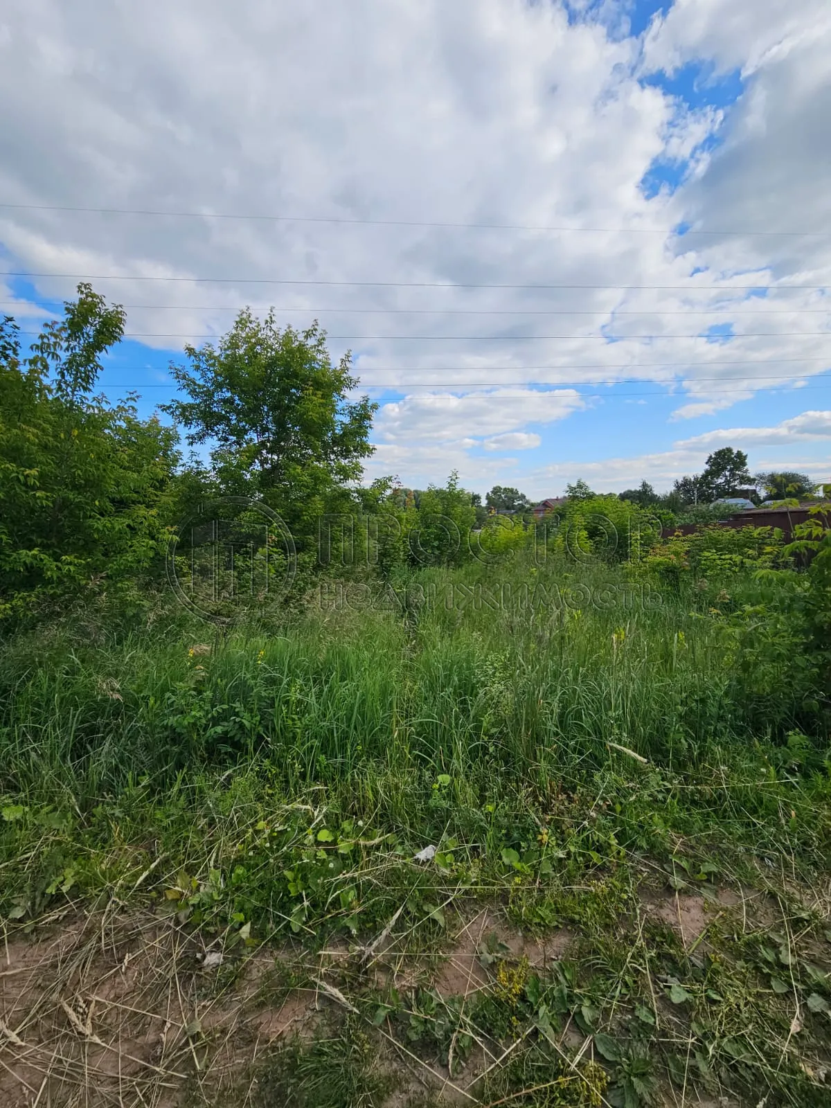 Участок, 11.67 сот. - фото 10