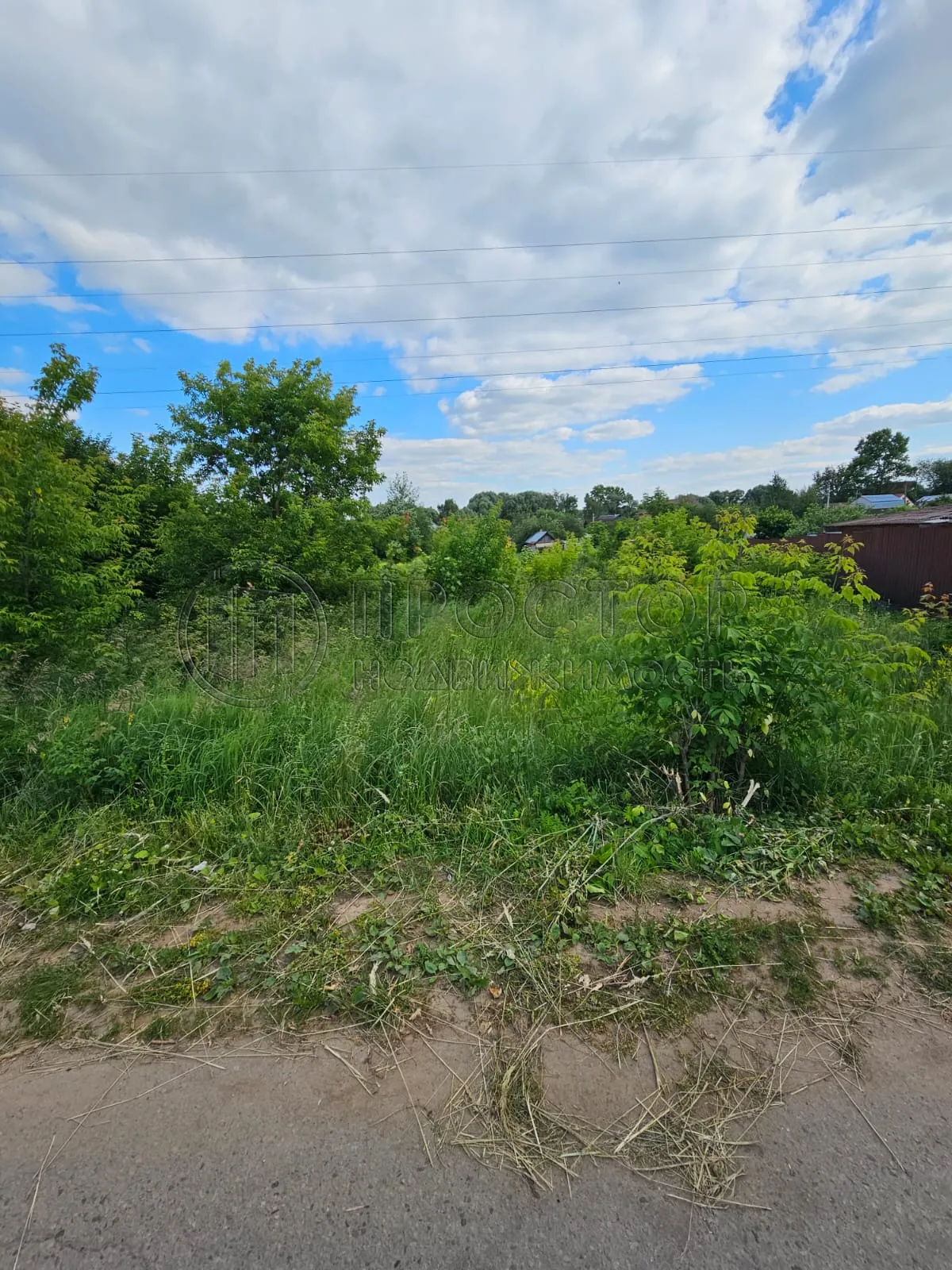 Участок, 11.67 сот. - фото 12