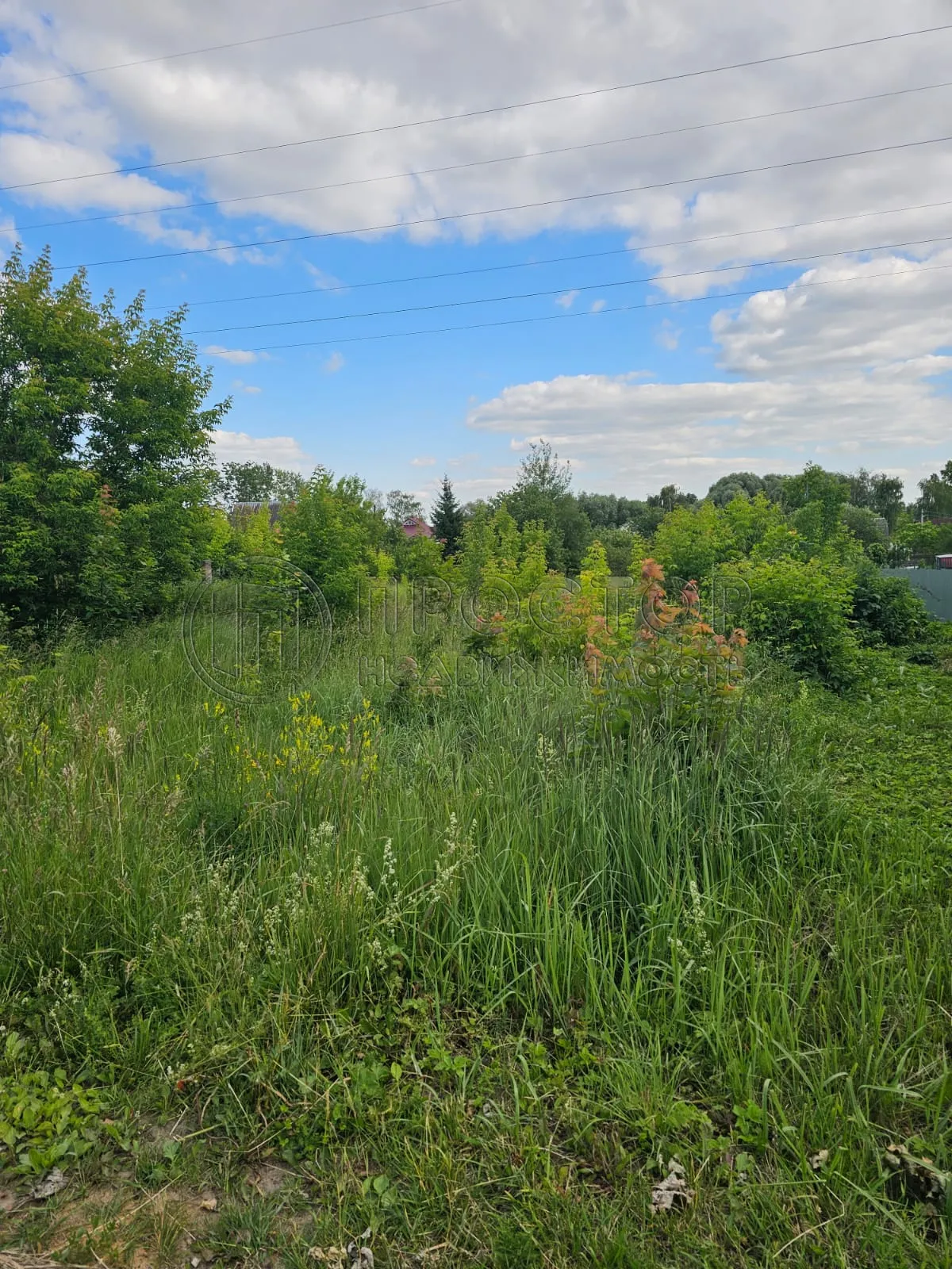 Участок, 11.67 сот. - фото 16