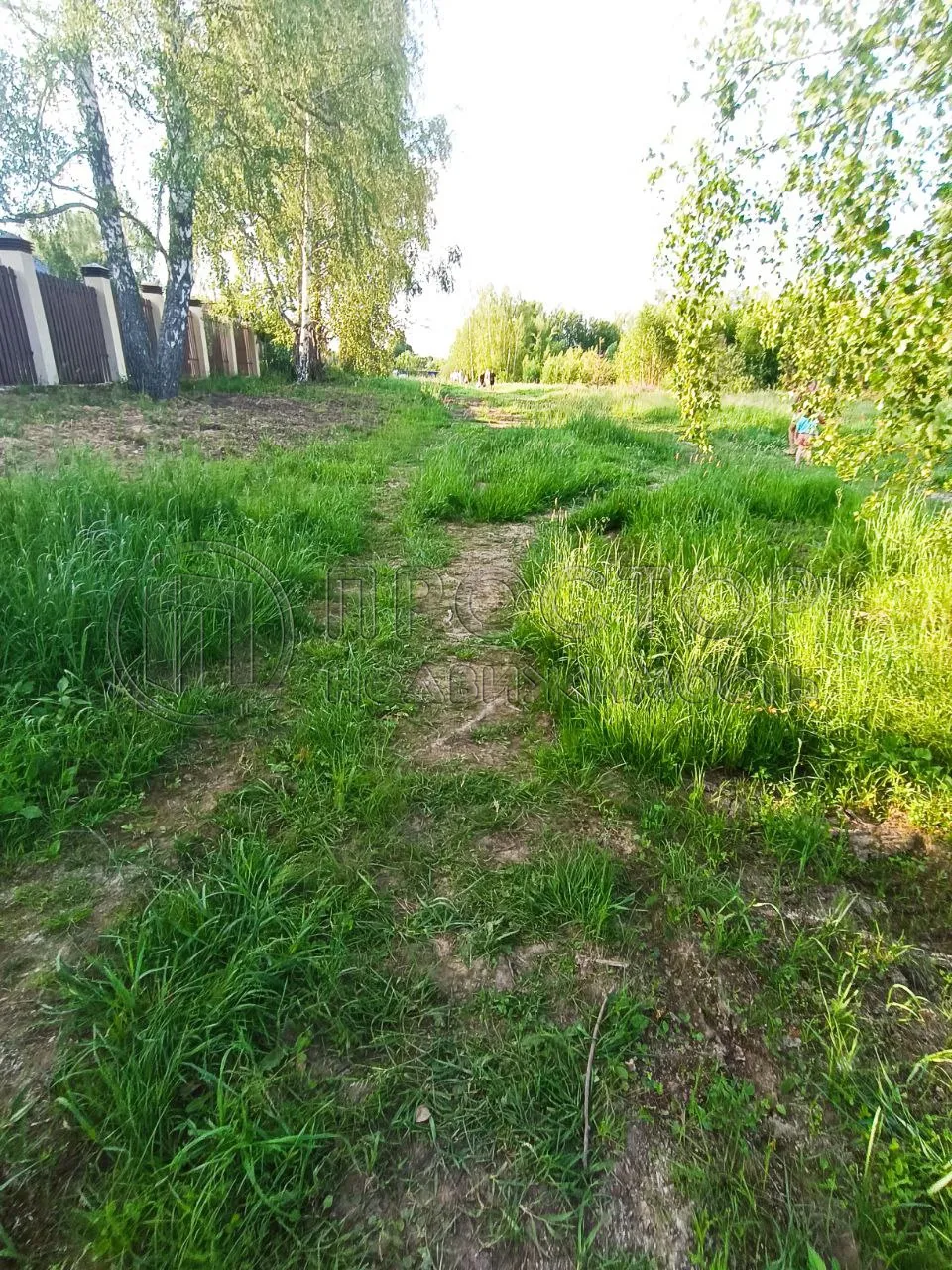 Участок, 10 сот. - фото 3