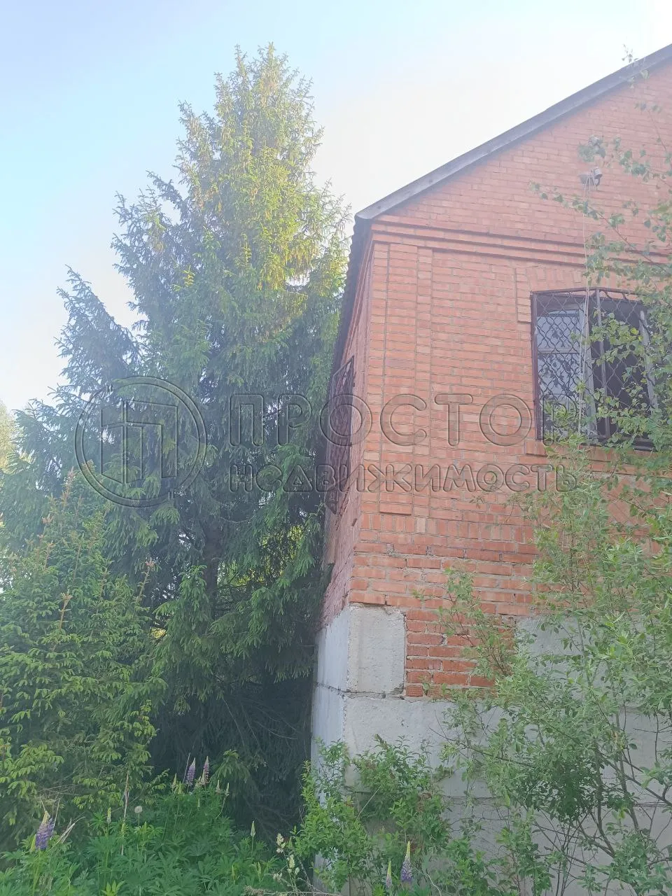 Участок, 10 сот. - фото 5