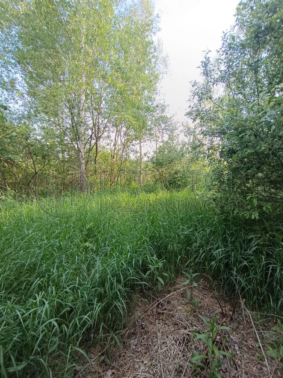 Участок, 10 сот. - фото 7