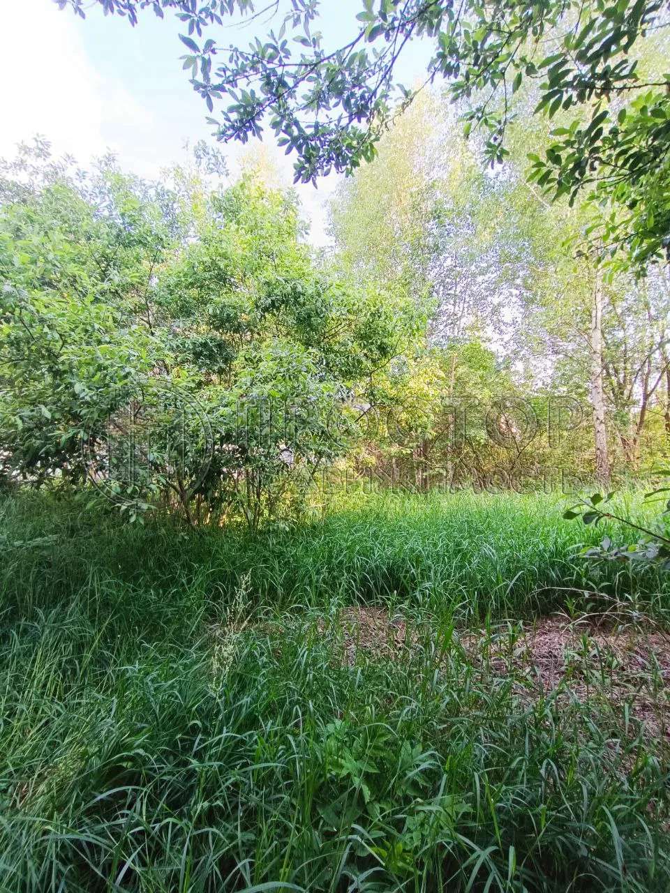 Участок, 10 сот. - фото 8