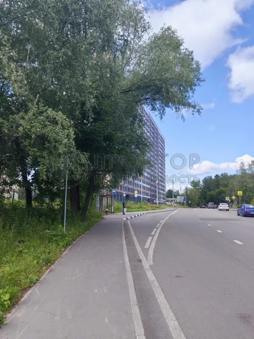 Студия, 26.2 м² - фото 7