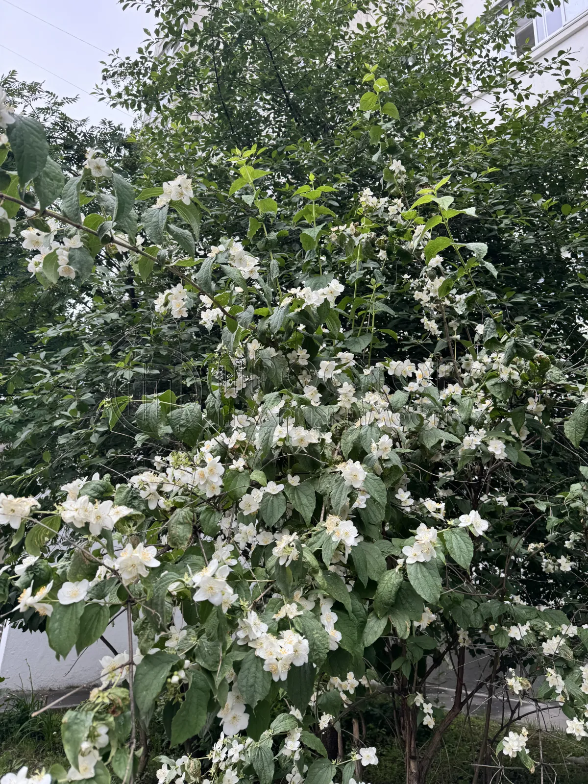 1-комнатная квартира, 38.8 м² - фото 17