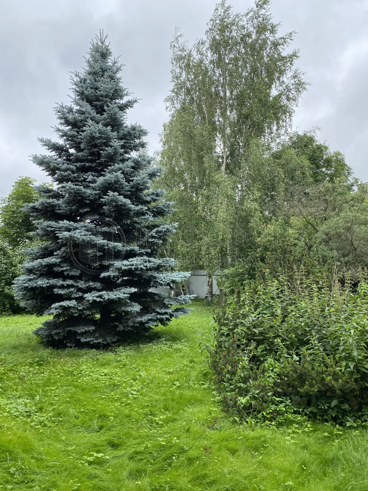 Дом, 360 м² - фото 7