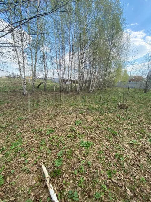 Участок, 10.3 сот. - фото 6