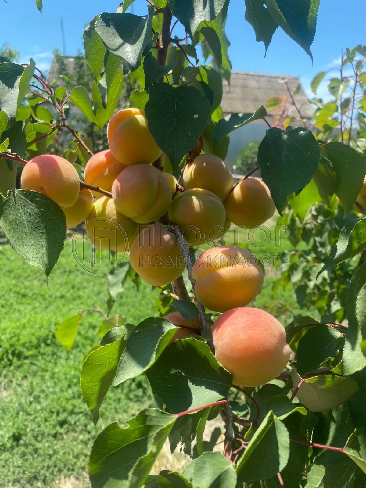 Дом, 200 м² - фото 8