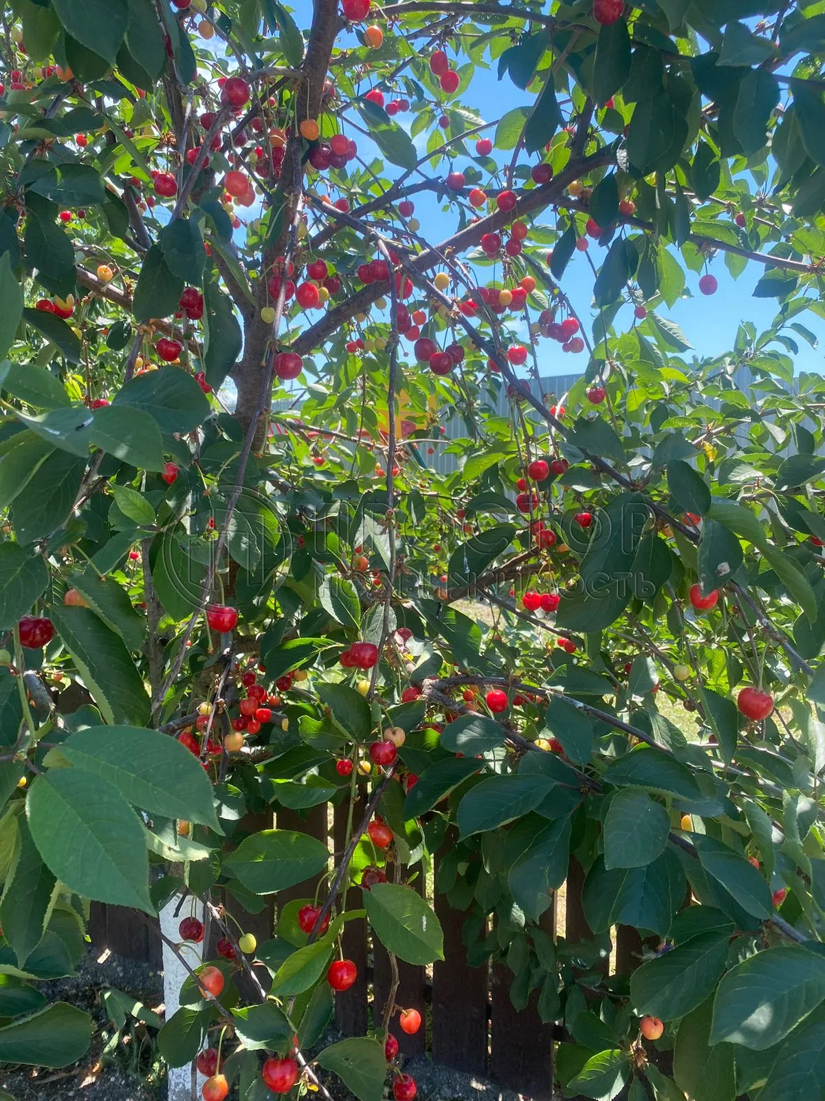 Дом, 200 м² - фото 10