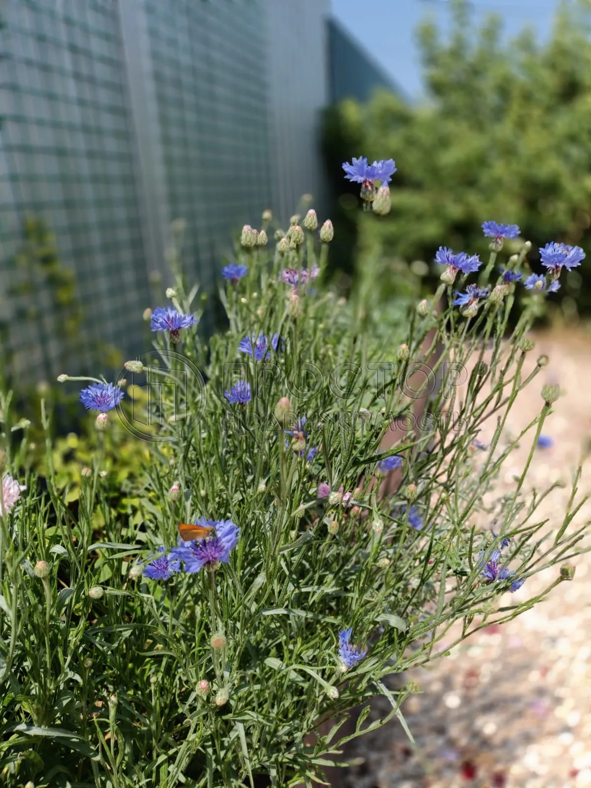 Дом, 200 м² - фото 32