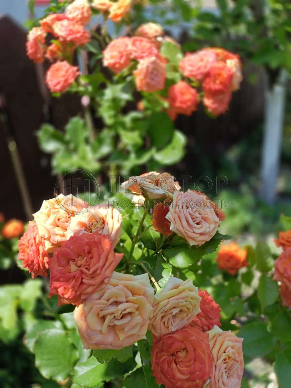 Дом, 200 м² - фото 38