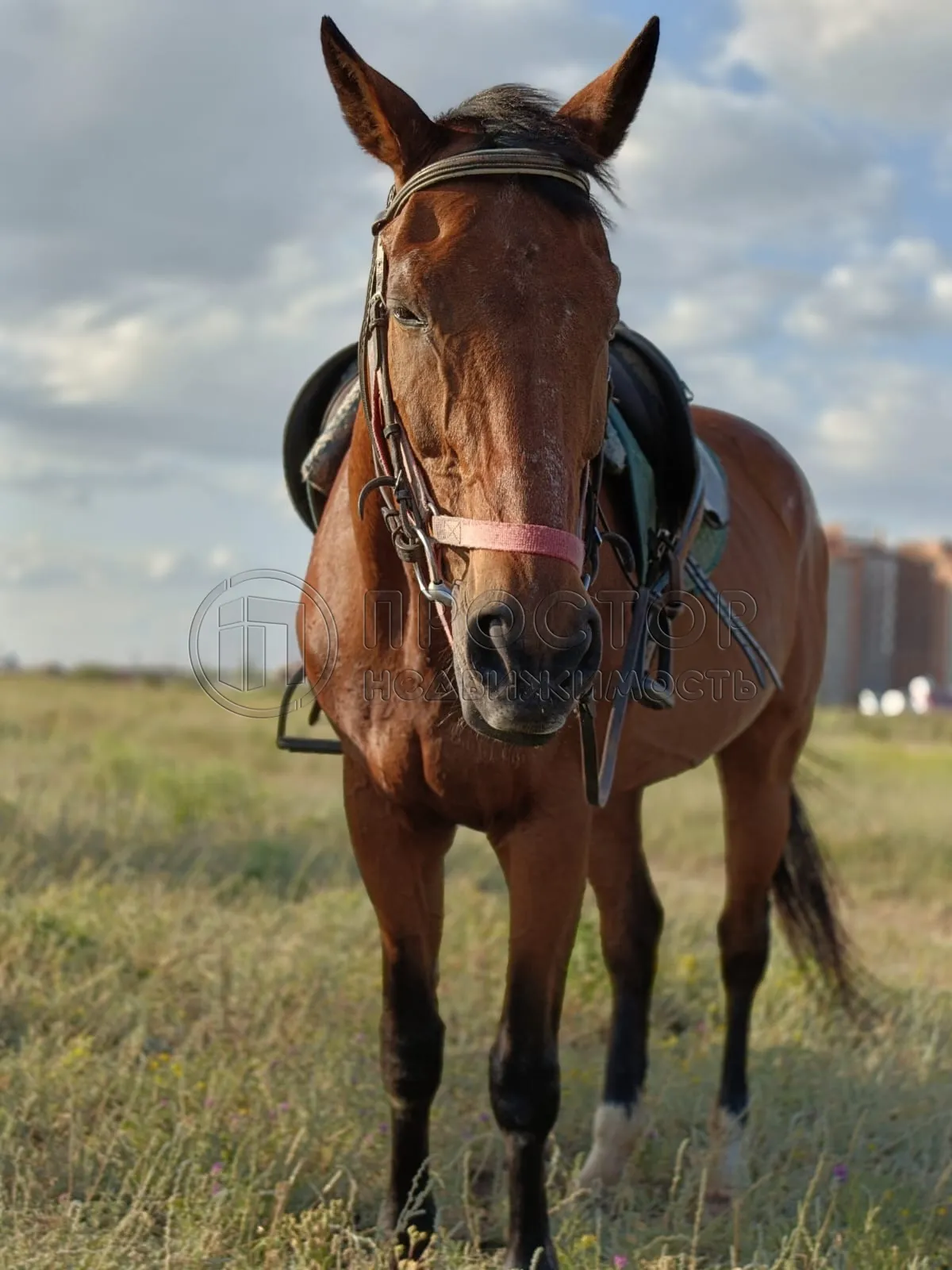 Дом, 200 м² - фото 47