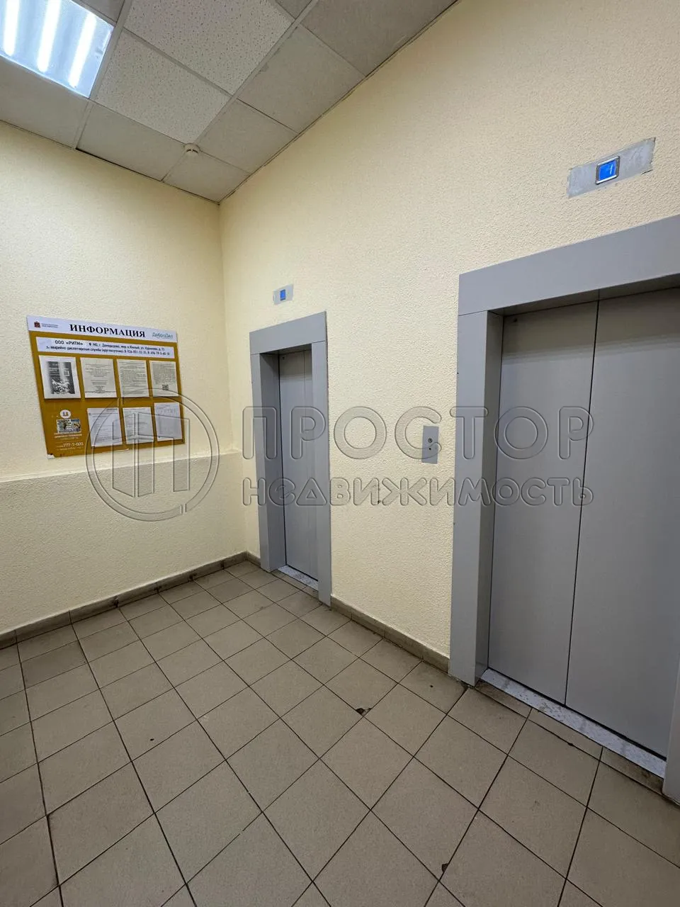 2-комнатная квартира, 55.6 м² - фото 5