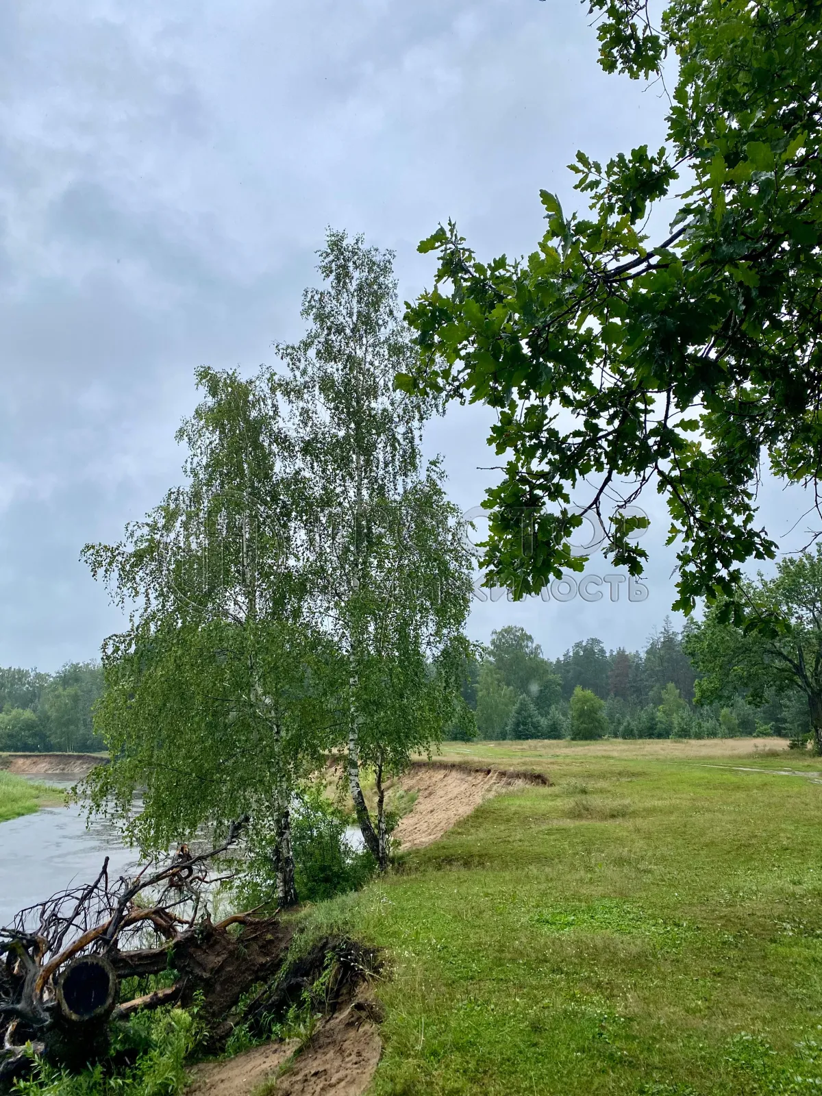 Участок, 8.2 сот. - фото 38