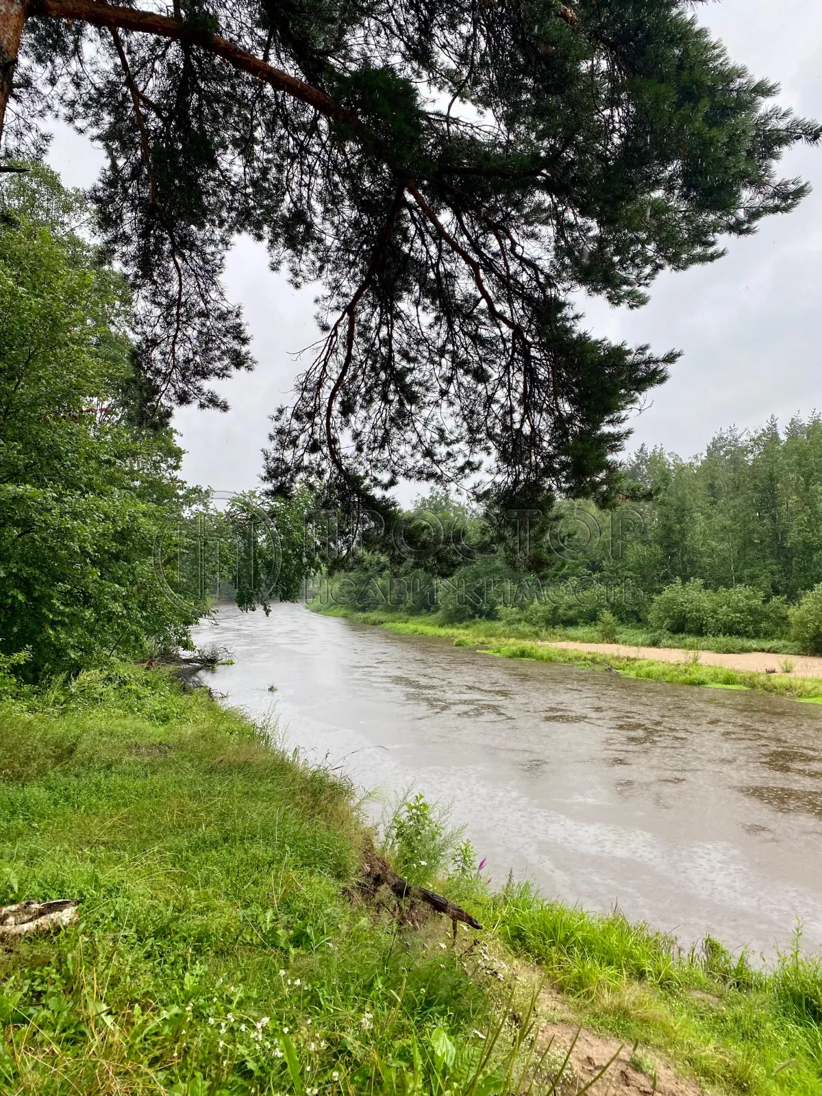 Участок, 8.2 сот. - фото 39