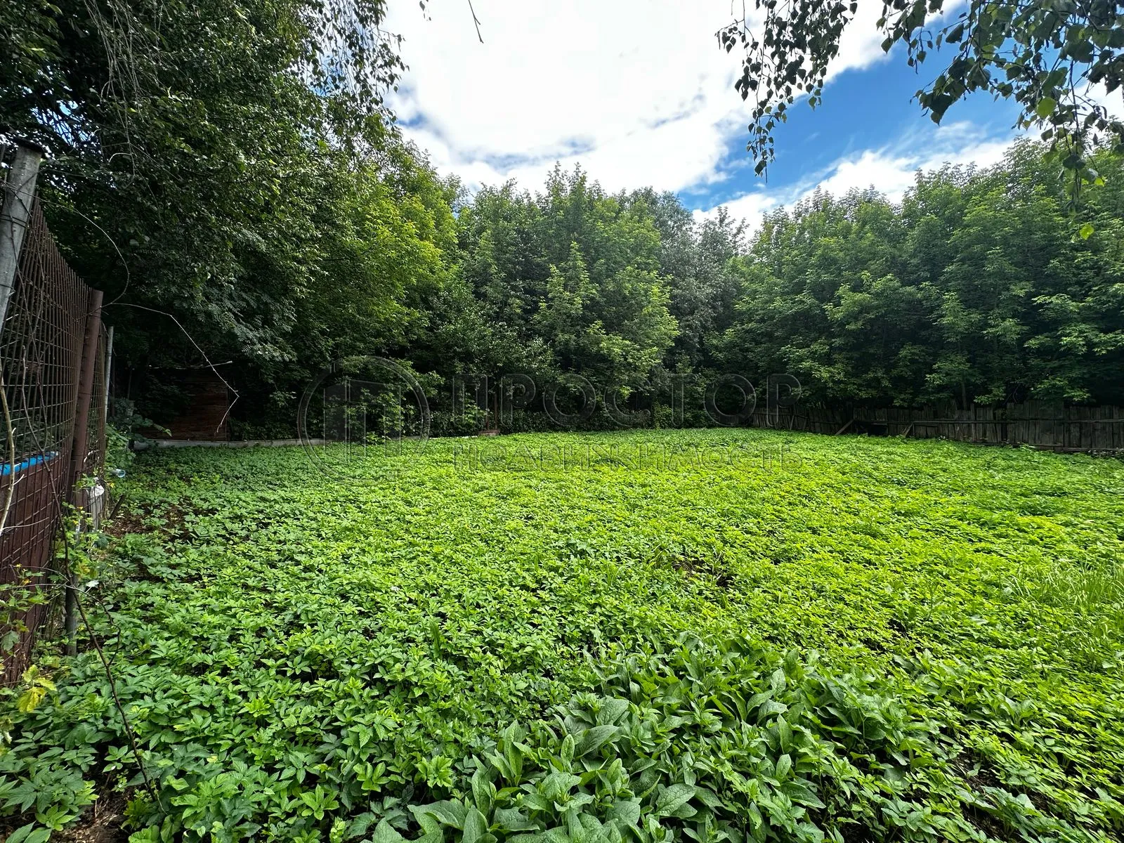 Участок, 5.34 сот. - фото 2