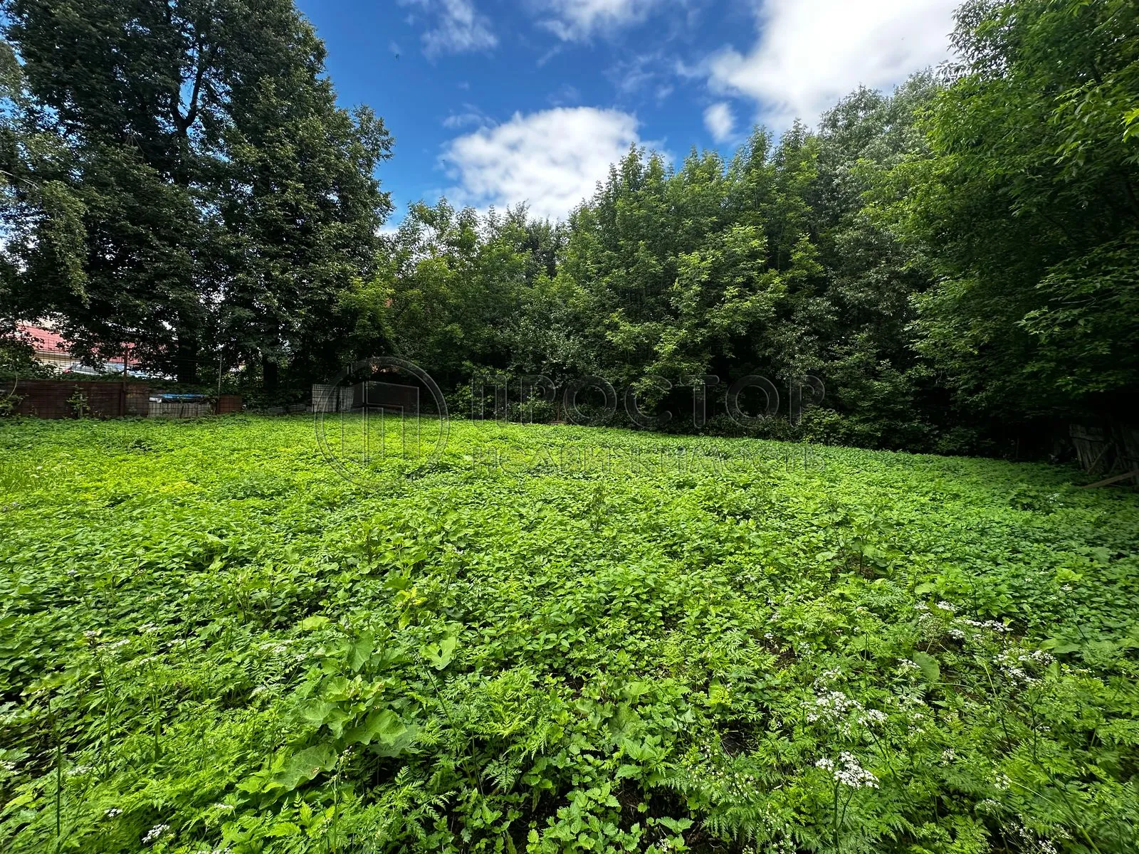 Участок, 5.34 сот. - фото 3