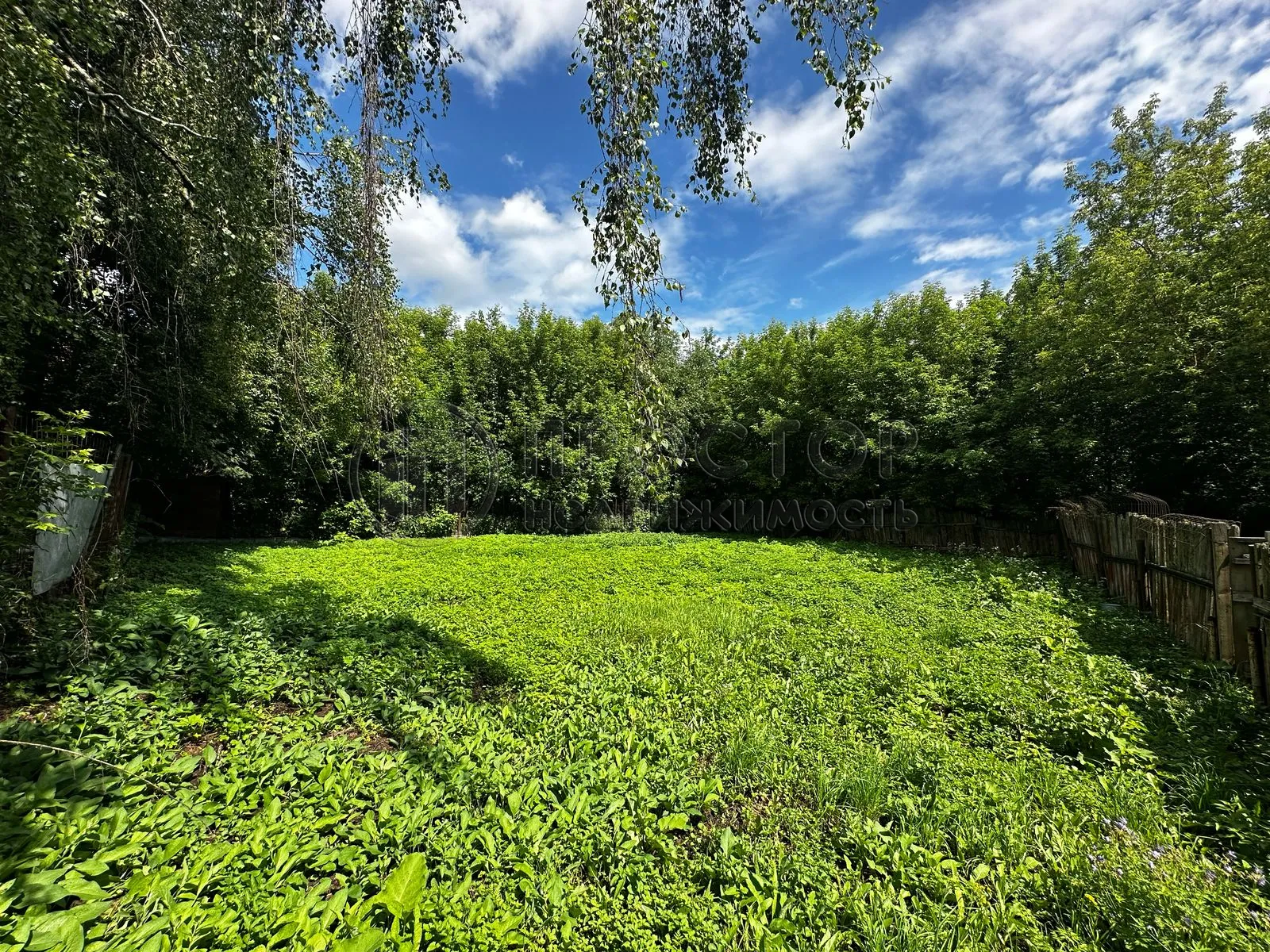 Участок, 5.34 сот. - фото 4