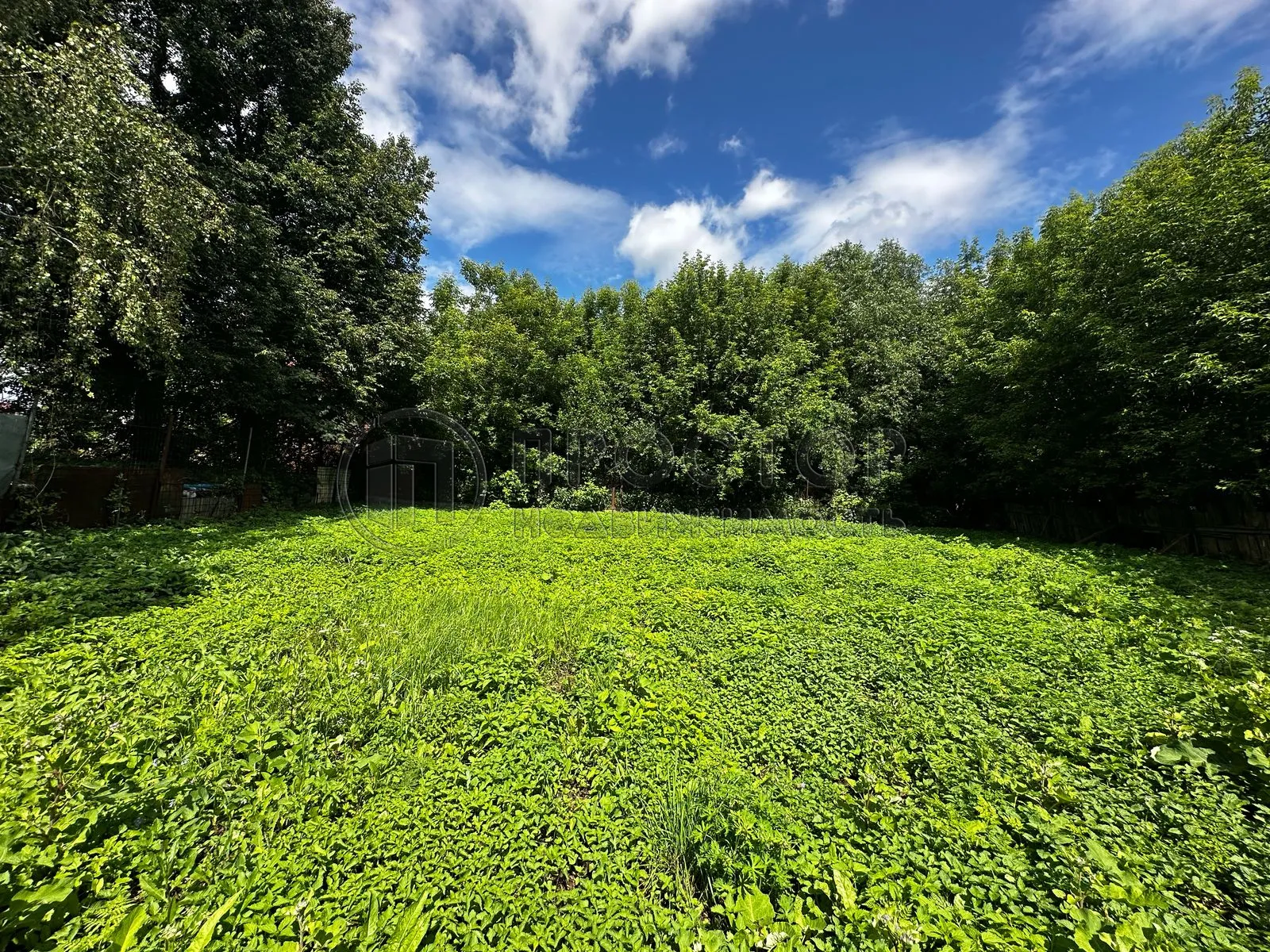 Участок, 5.34 сот. - фото 5