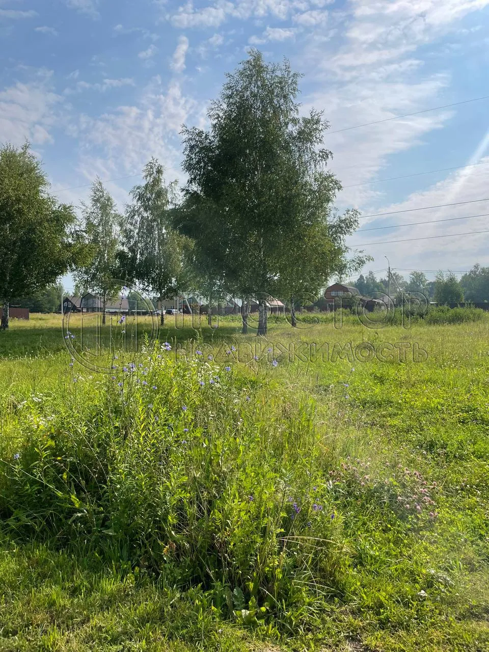 Участок, 16 сот. - фото 6