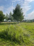 Участок, 16 сот. - фото 14