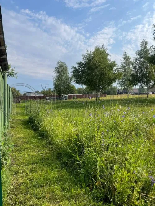 Участок, 16 сот. - фото 8