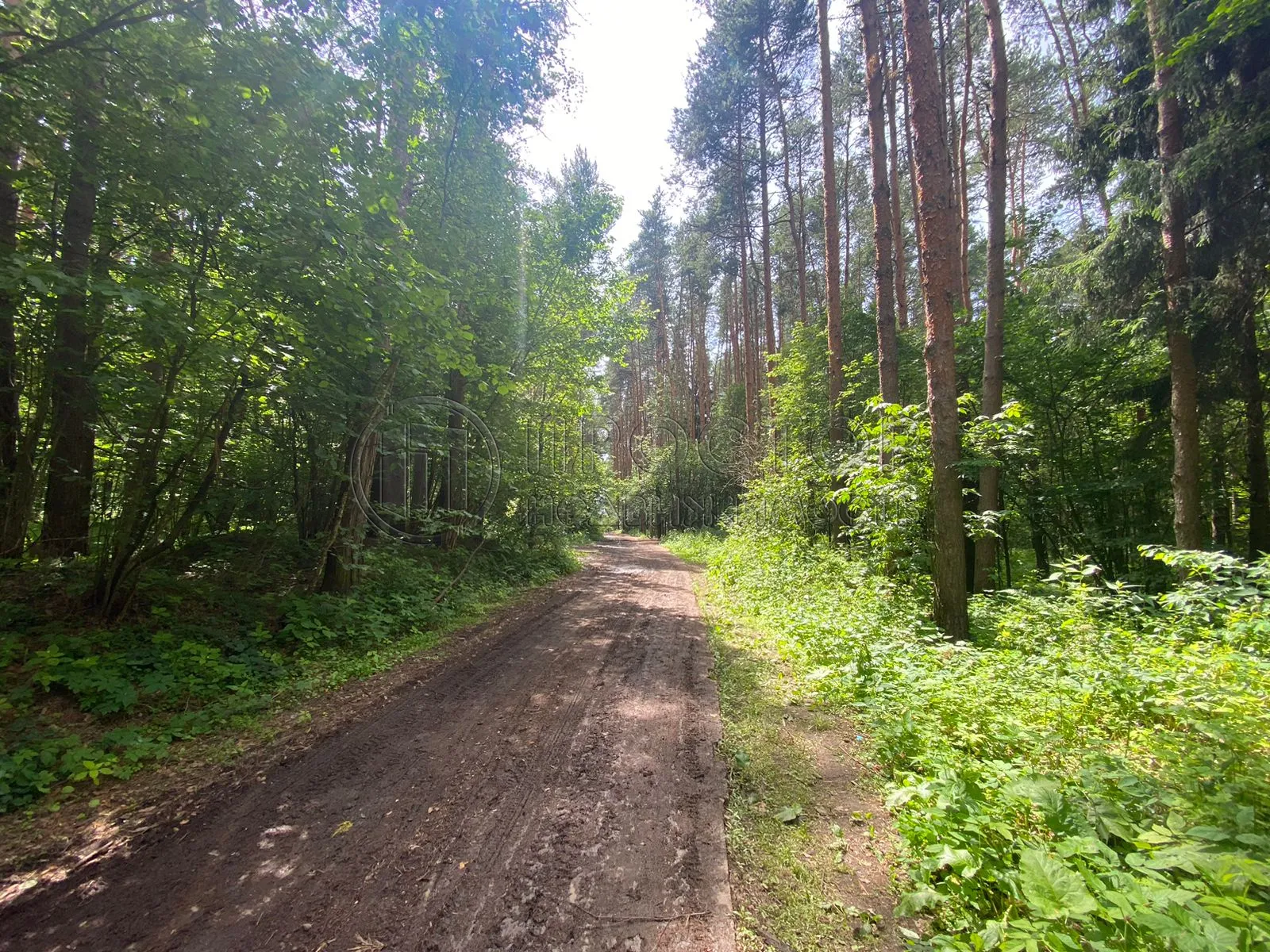 2-комнатная квартира, 40 м² - фото 19