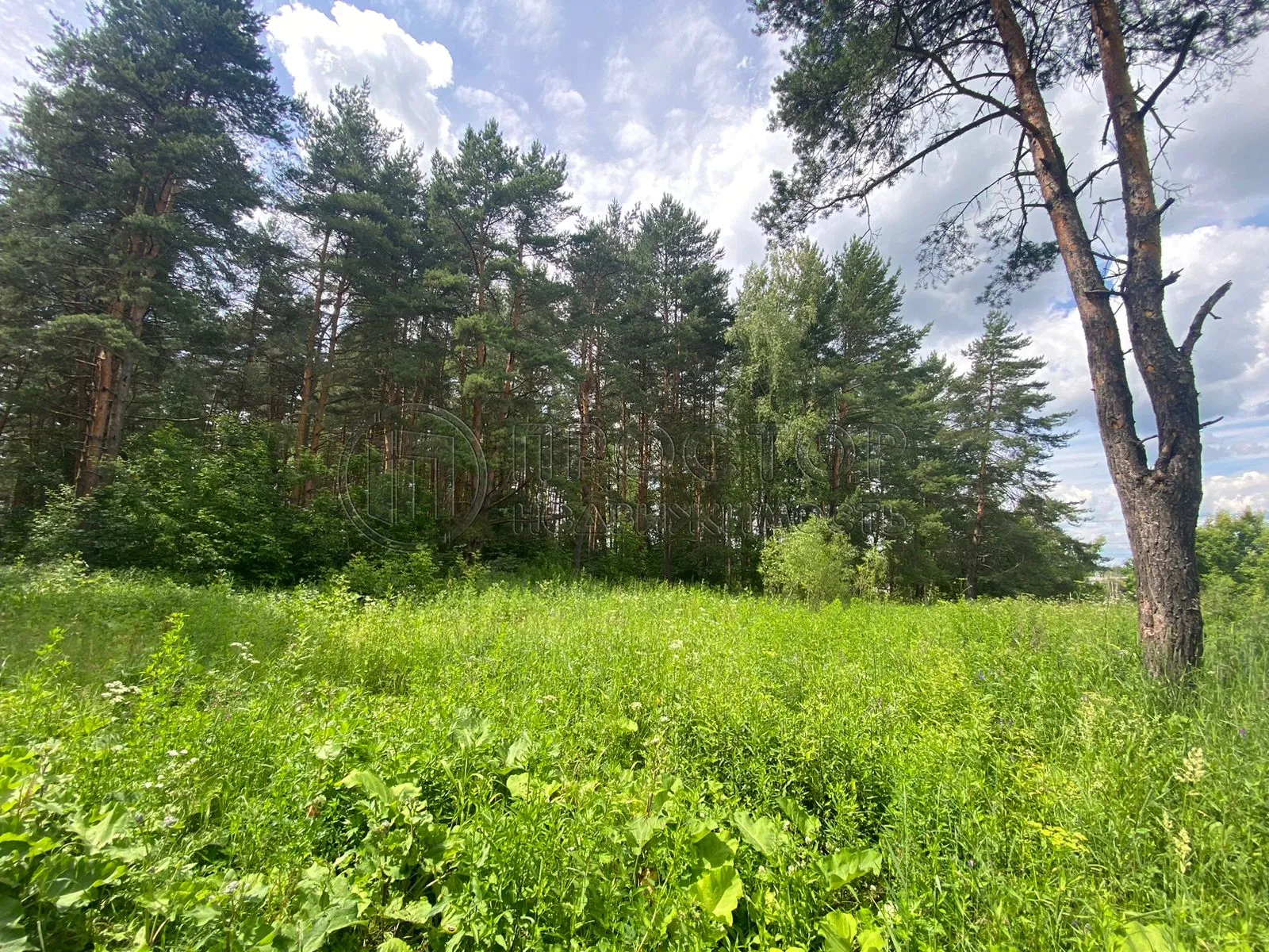 2-комнатная квартира, 40 м² - фото 21