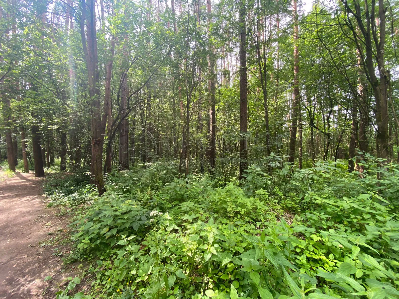 2-комнатная квартира, 40 м² - фото 22