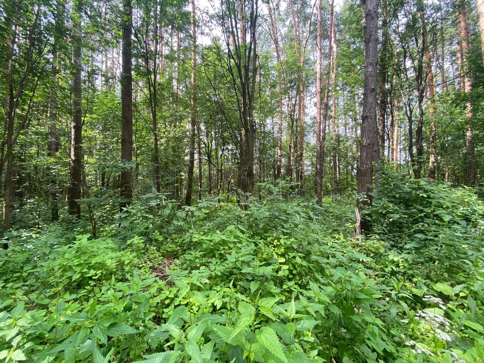 2-комнатная квартира, 40 м² - фото 23