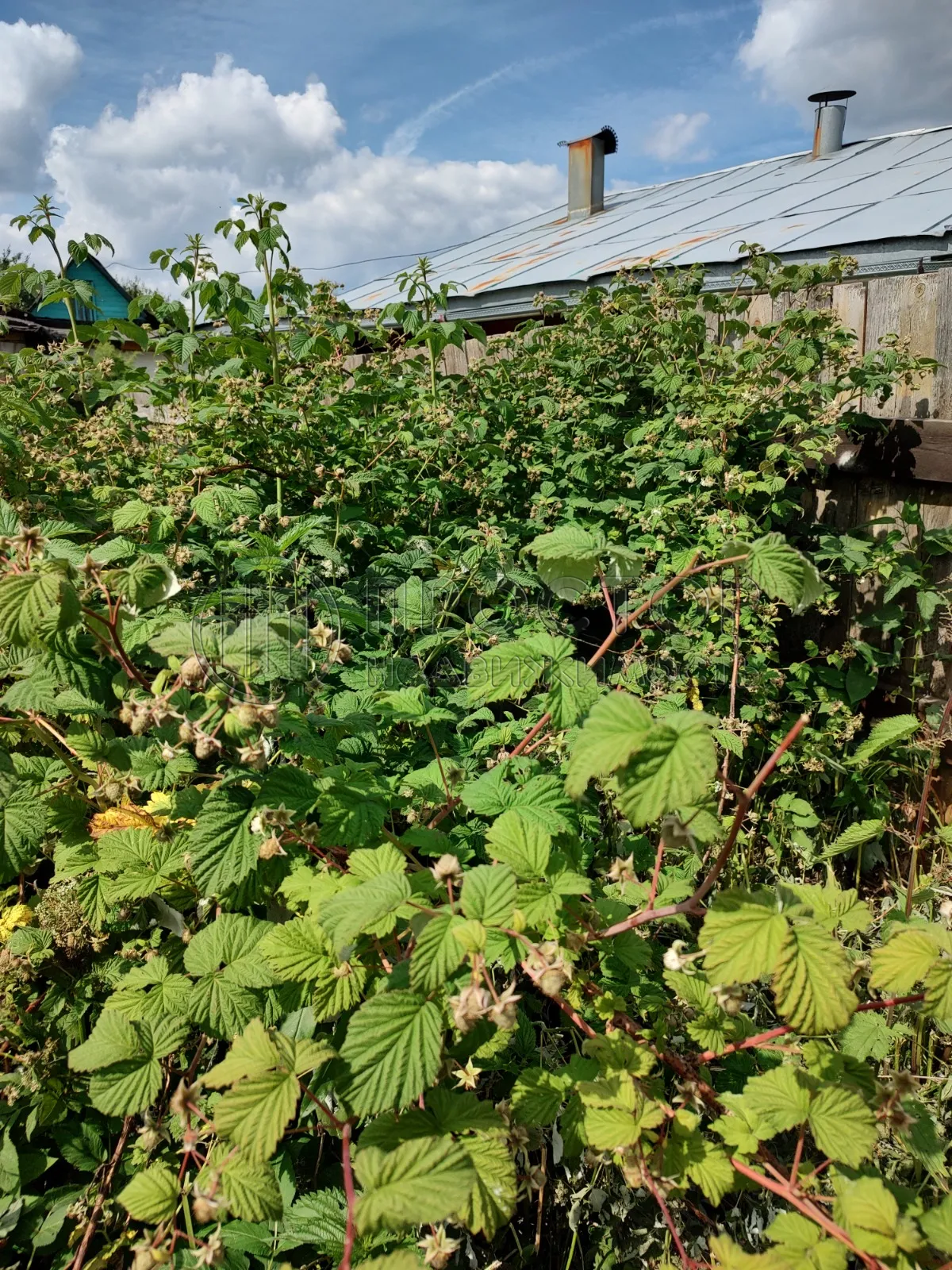 Дом, 68.2 м² - фото 25