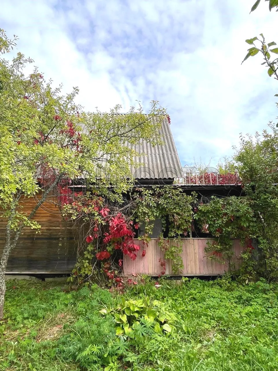 Участок, 6 сот. - фото 3