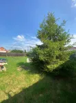 Участок, 100 сот. - фото 21