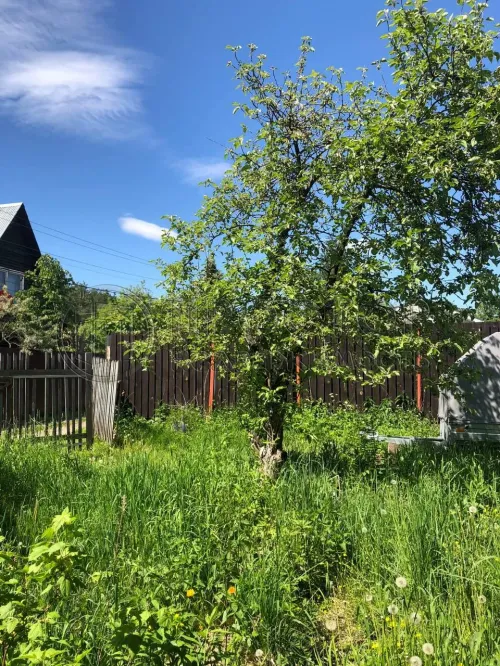Участок, 6.2 сот. - фото 3